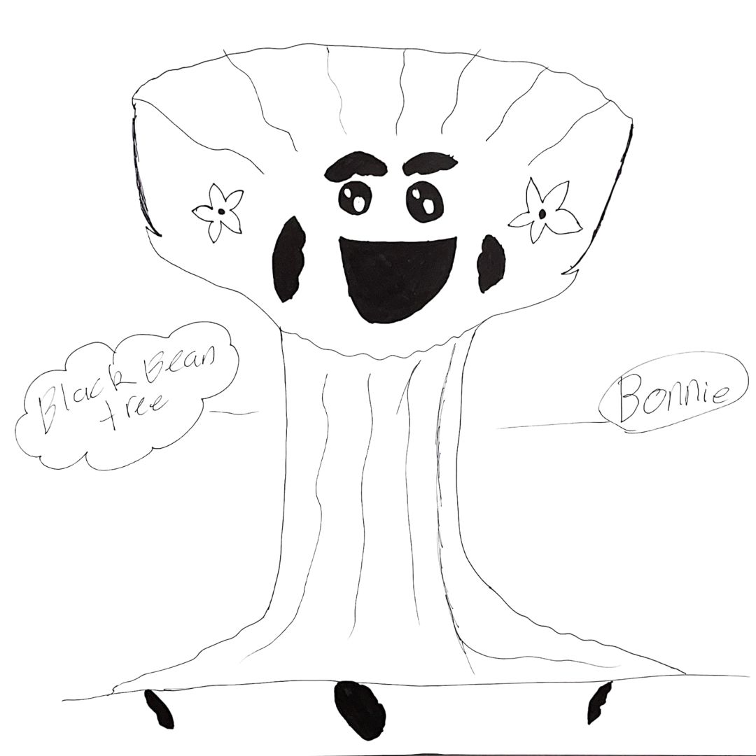 Black Bean Tree