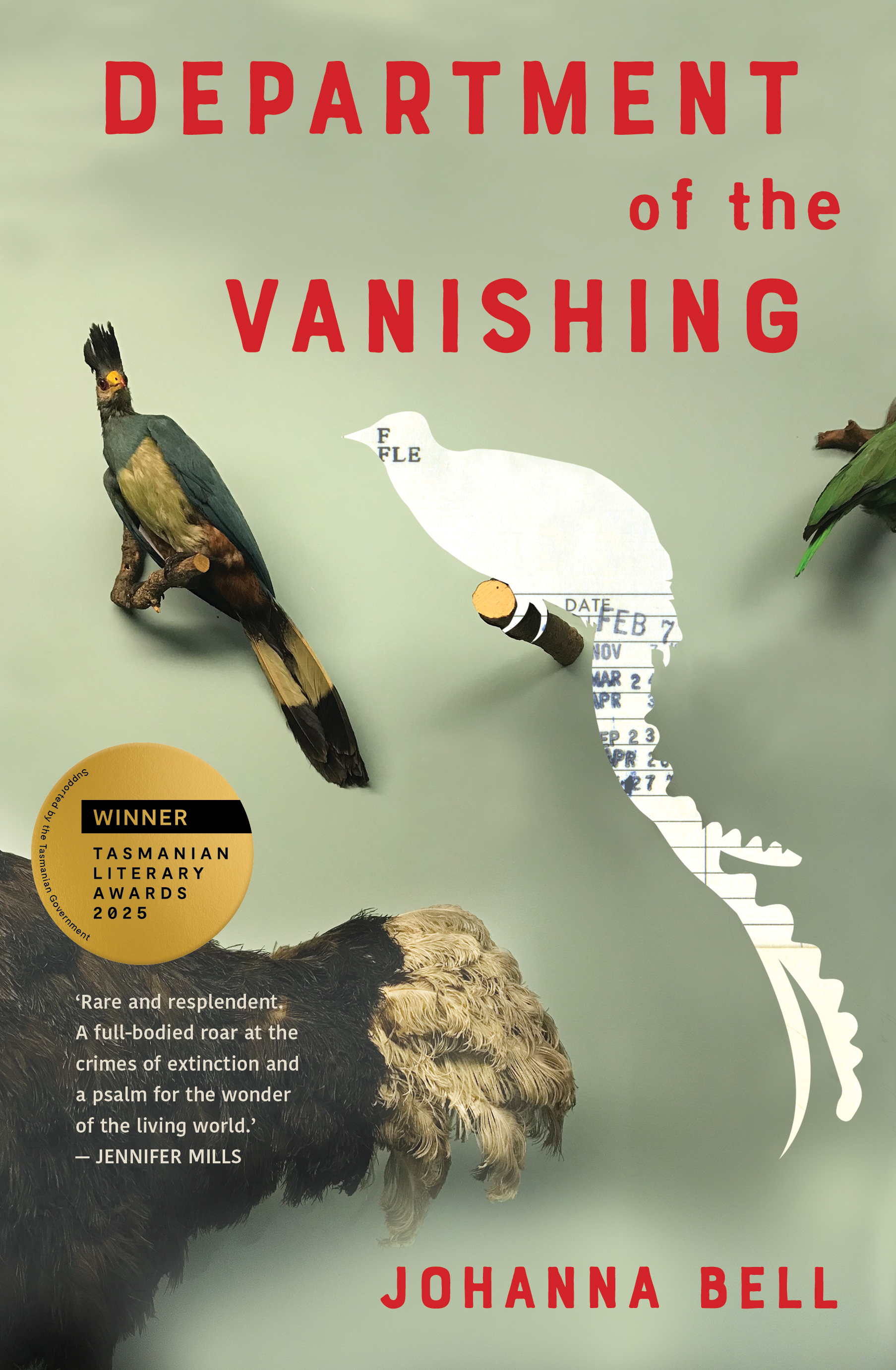 Image of book cover Department of the Vanishing by Johanna Bell
